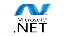 .NET 5.0 (64-bit)
