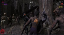 Berserk Survivor