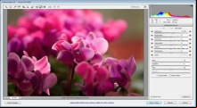 Adobe Camera Raw