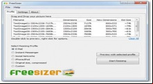 FreeSizer