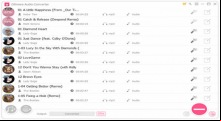 DRM Audio Converter